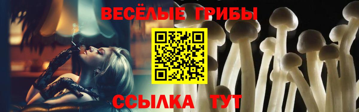 Псилоцибиновые грибы Psilocybine cubensis  Вход с VPN  Галлюциногенные грибы прущие грибы  Ахтубинск 